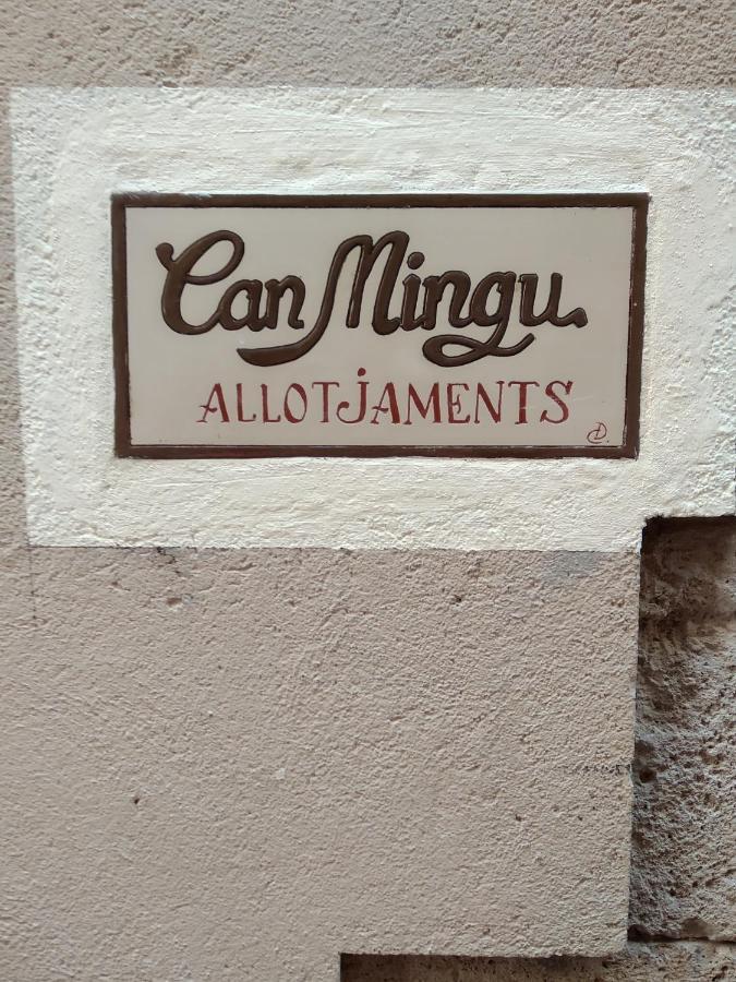Apartament Can Mingu 2On Pis Besalú Zewnętrze zdjęcie